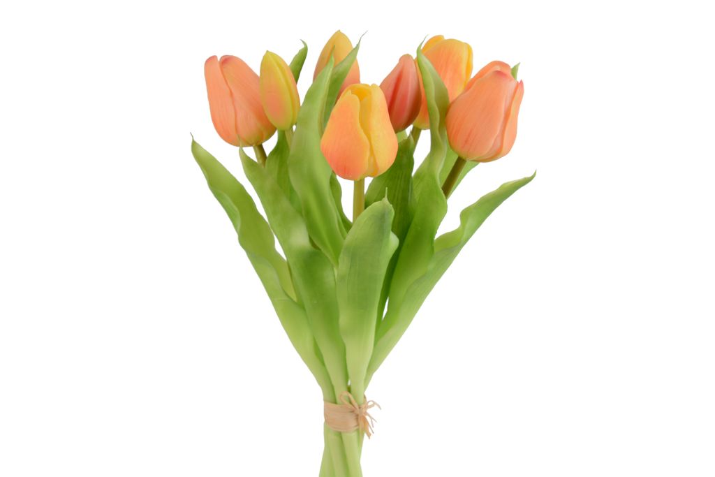 Tulipani Gumy, color pesca, mazzo da 7 fiori, h 30 cm