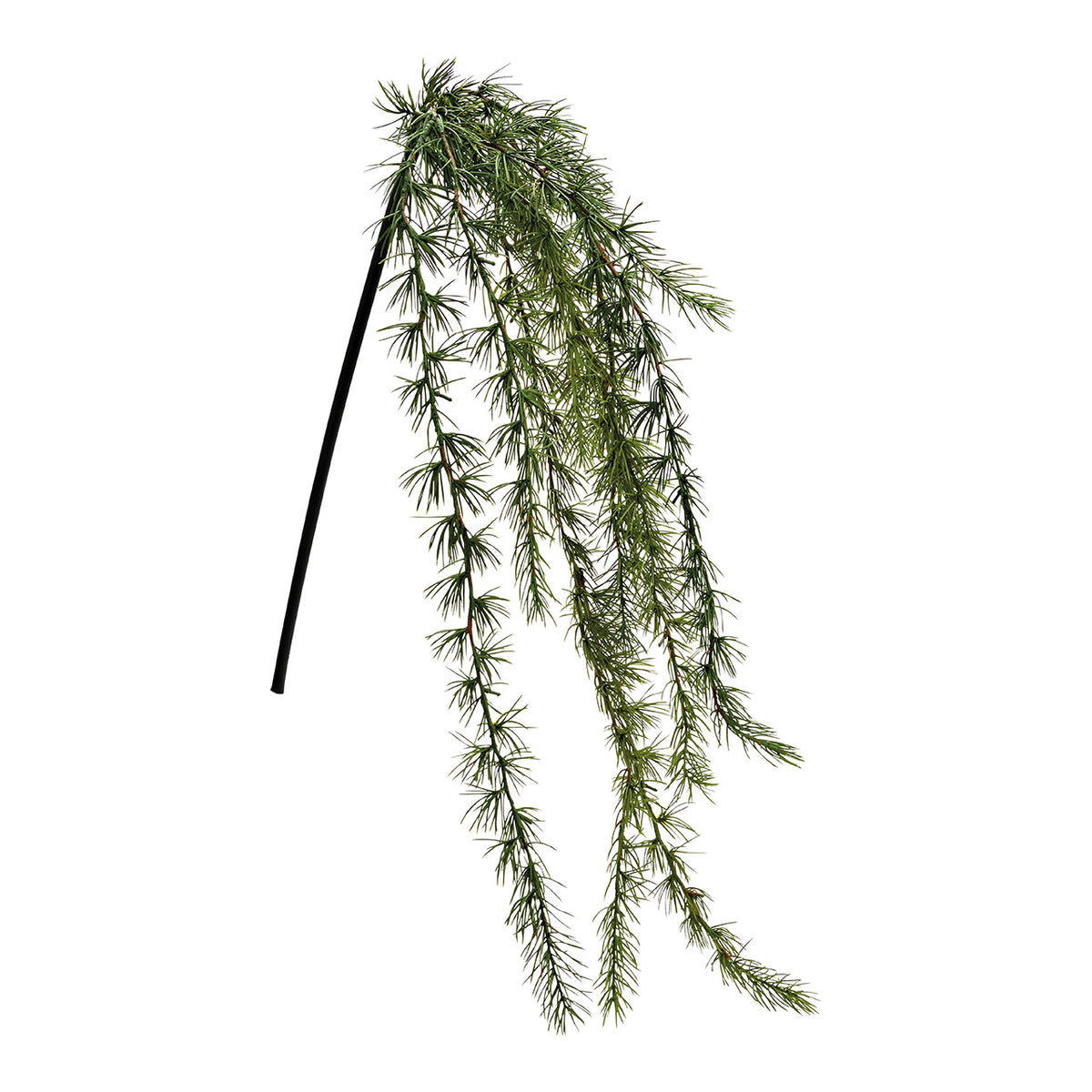 Ramo in cedro pendente, h 119 cm