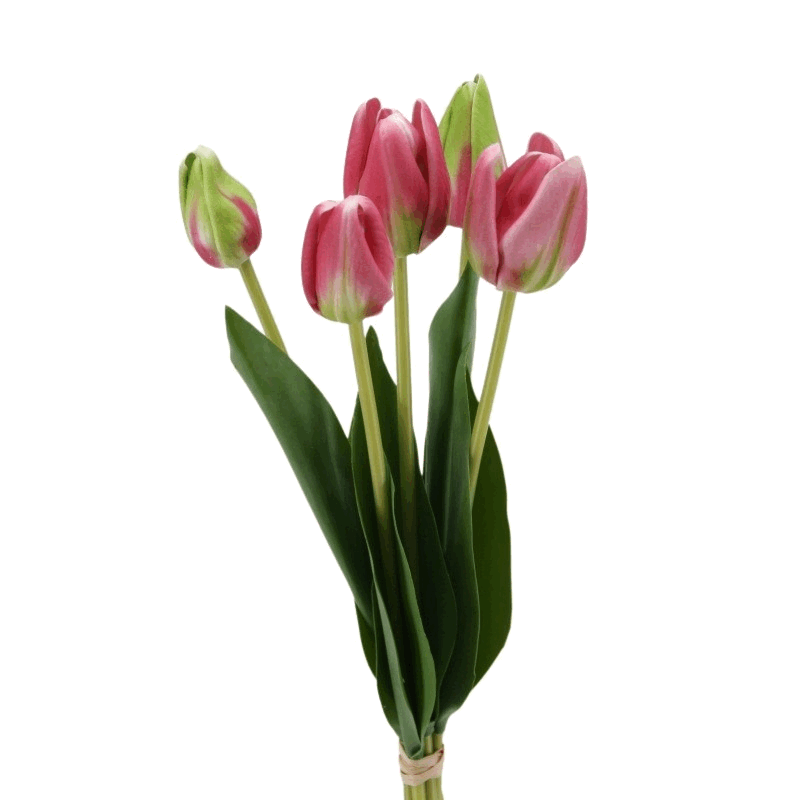 Tulipani in mazzo da 5 fiori, real touch, altezza 40 cm, colore malva con striature verdi