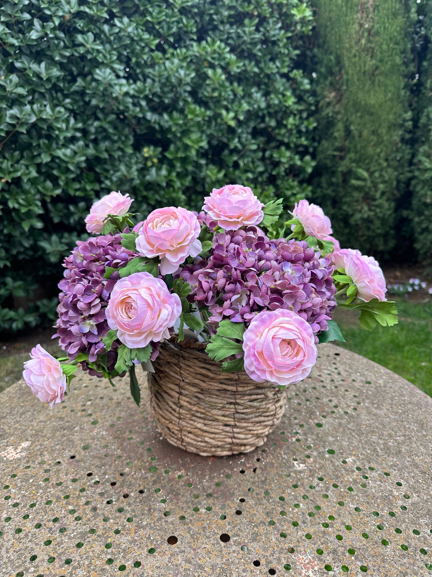 Ranuncolo colore rosa, h 40 cm