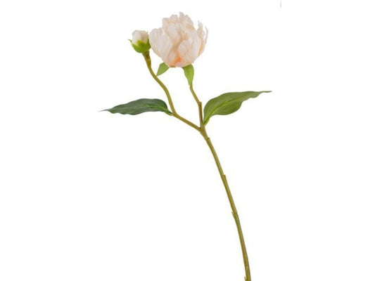 Peonie bianche-avorio h 45 cm