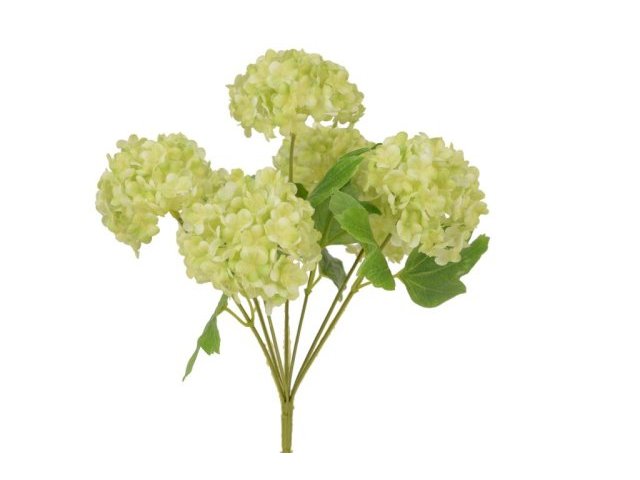 Ortensie bianche bush, h 30 cm, 7 fiori