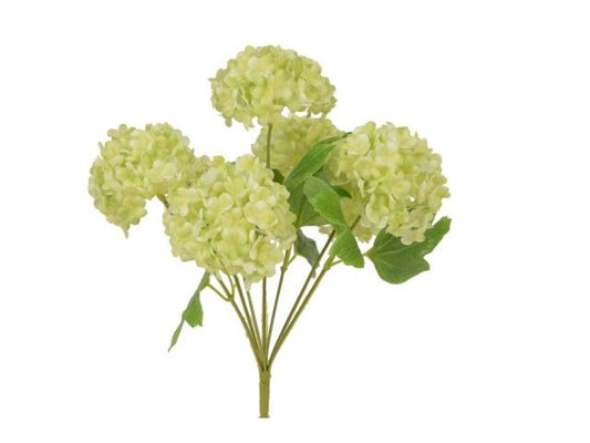 Ortensie bianche bush, h 30 cm, 7 fiori