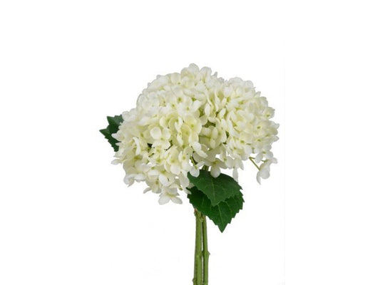 Ortensie colore bianco, mazzo 3 fiori, h 34 cm