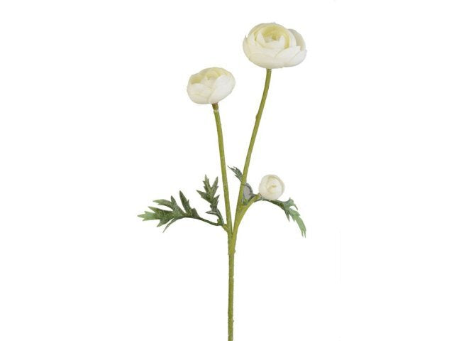 Ranuncoli colore bianco, ramo con 3 fiori, h 35 cm