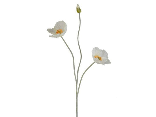 Papavero colore bianco, h 94 cm x 12 cm
