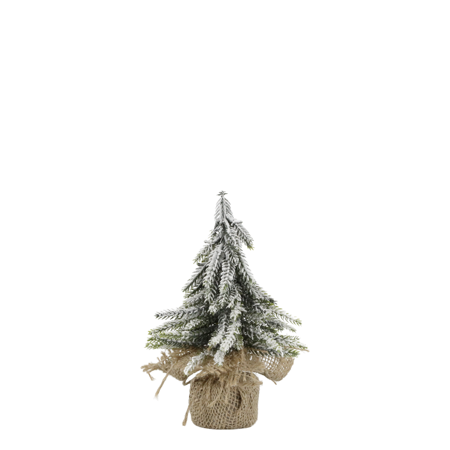 Pino innevato, con vaso rivestito di juta h 20 cm