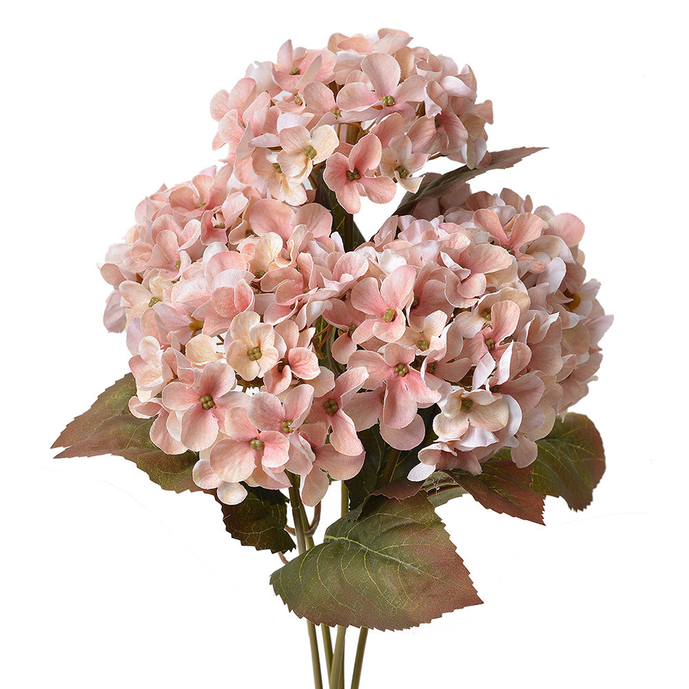 Ortensia Rosa antico, verde, 18x16x44 cm