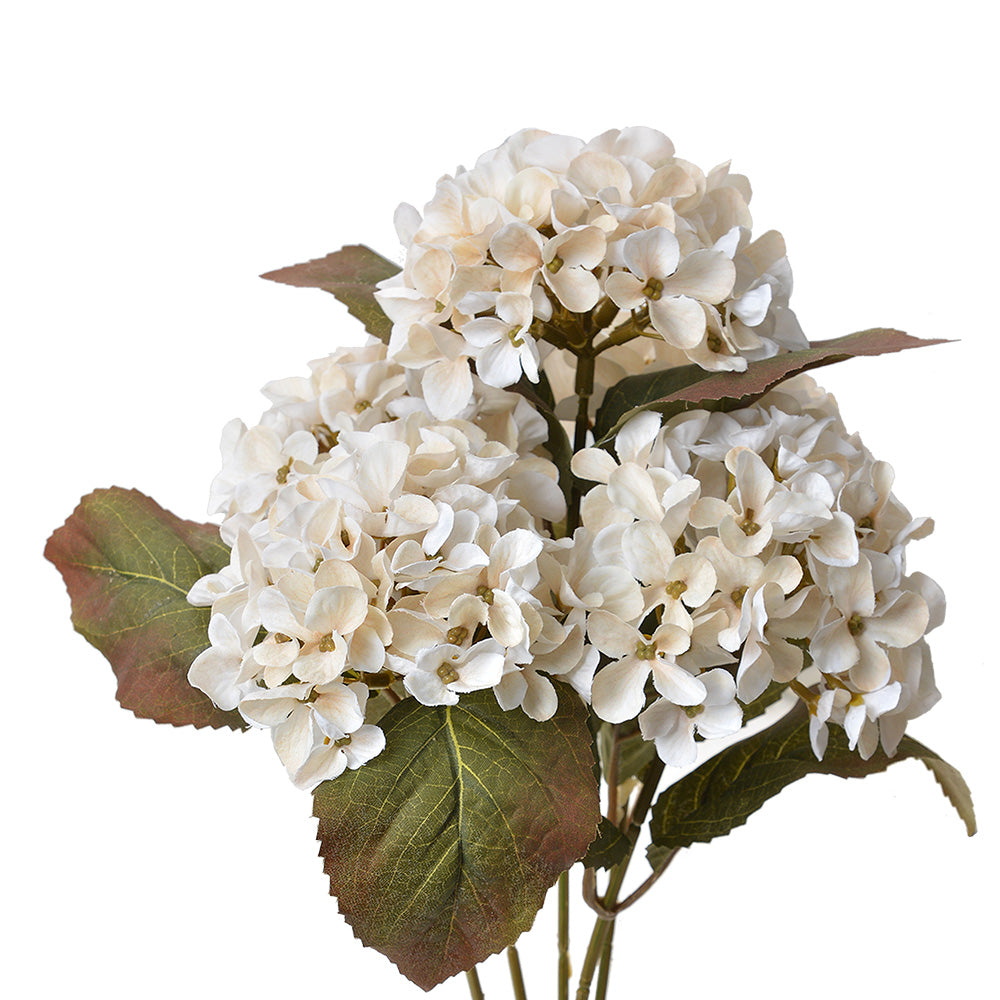 Ortensia Bianco antico, verde, 18x16x44 cm