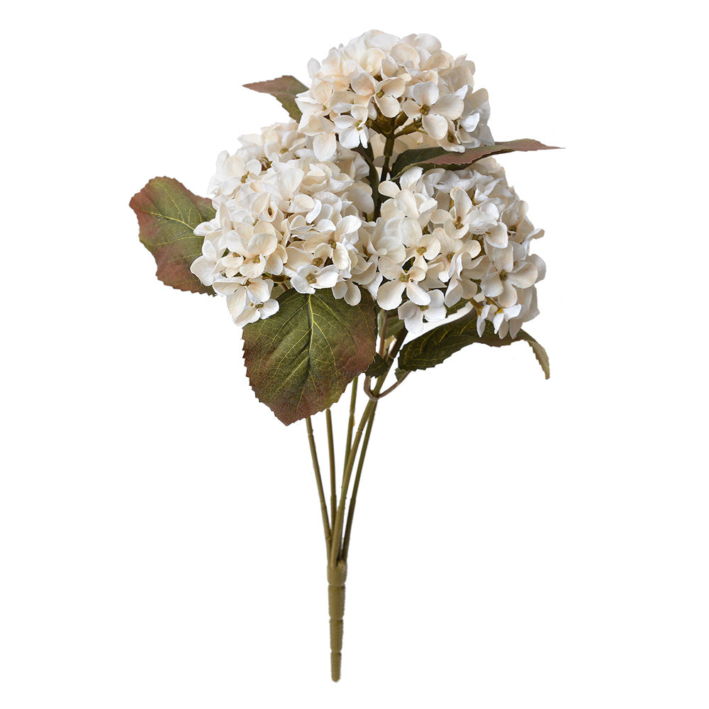 Ortensia Bianco antico, verde, 18x16x44 cm