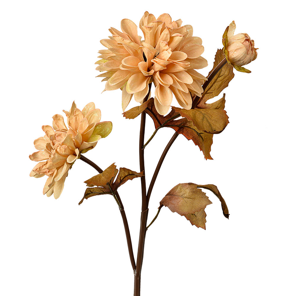 Fiore artificiale, beige/marrone, h 66 cm