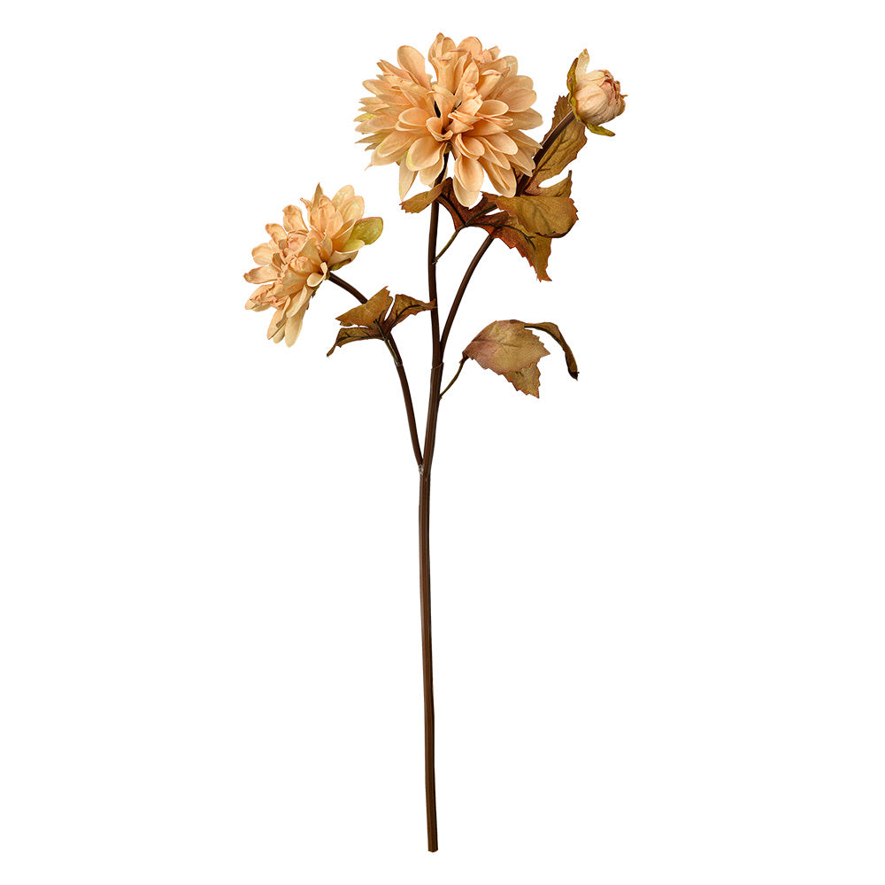 Fiore artificiale, beige/marrone, h 66 cm