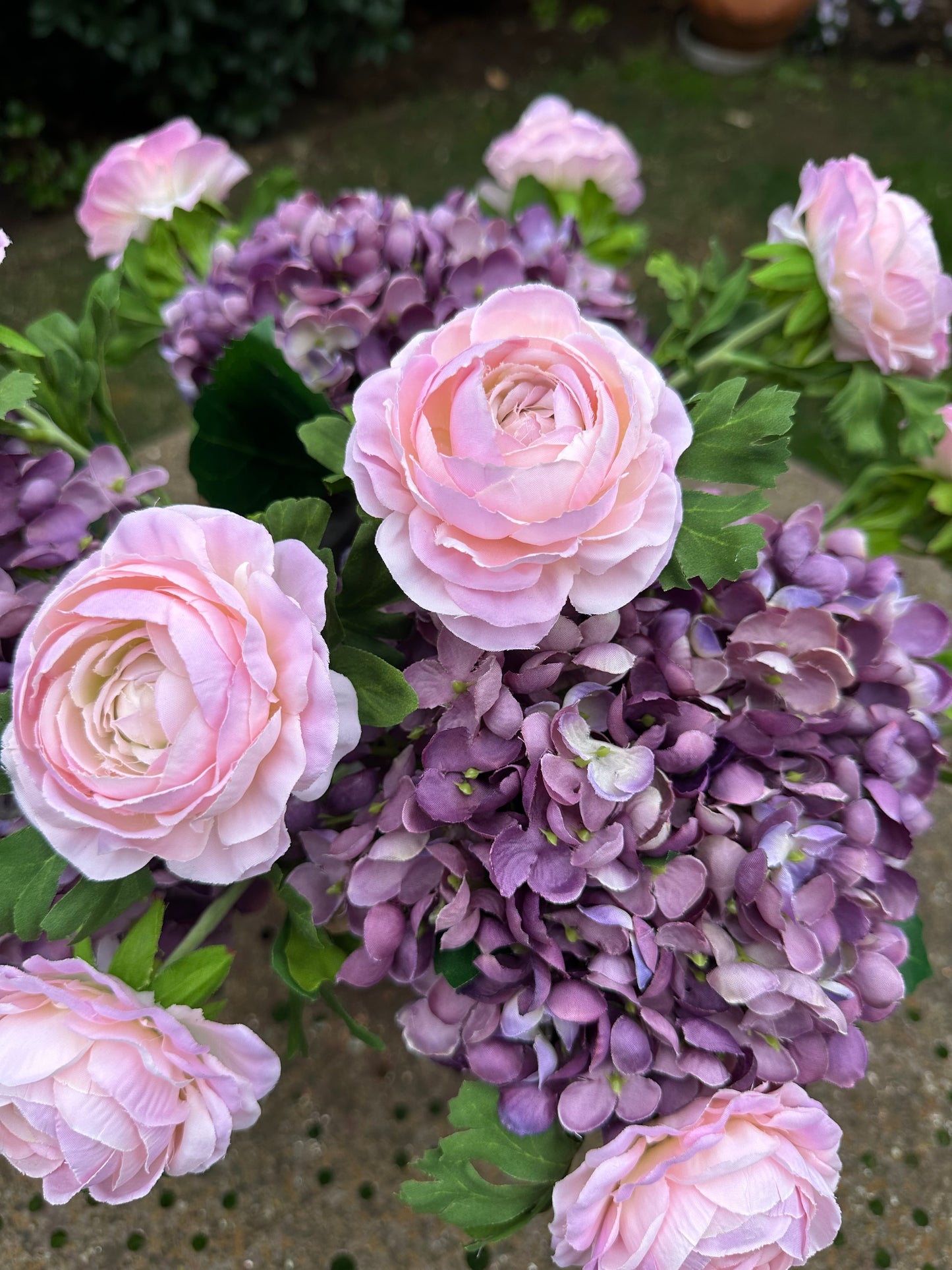 Ranuncolo colore rosa, h 40 cm