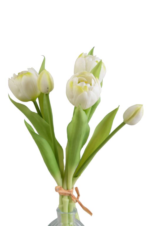 Tulipani colore Bianco, mazzo da 5 fiori, h 28 cm
