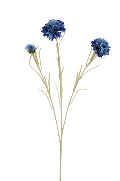 Fiordaliso, 3 fiori, h 64 cm