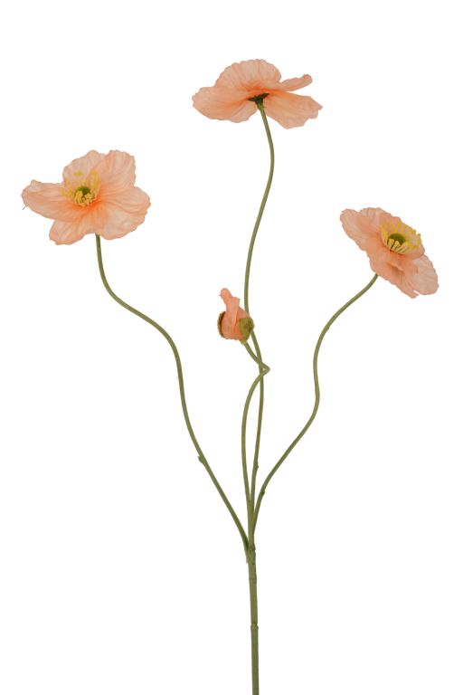 Papaveri, colore pesca, 4 fiori, h 58 cm