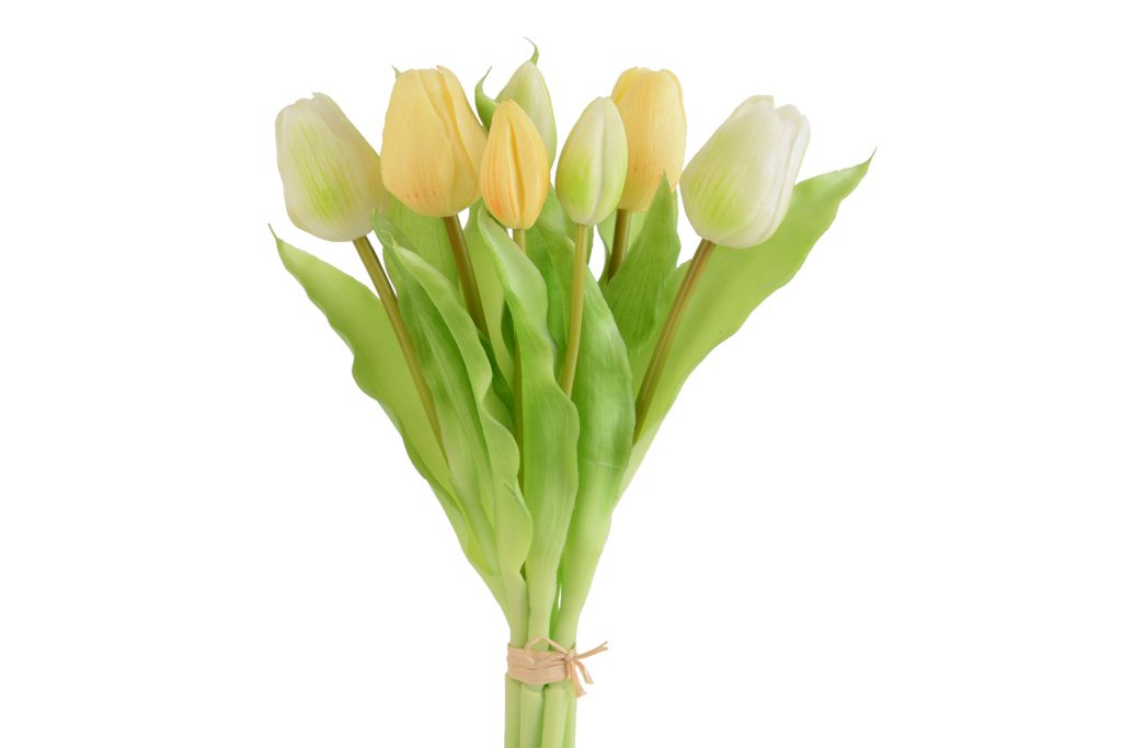 Tulipani Gumy, colore bianco/giallo pallido, mazzo da 7 fiori, h 30 cm