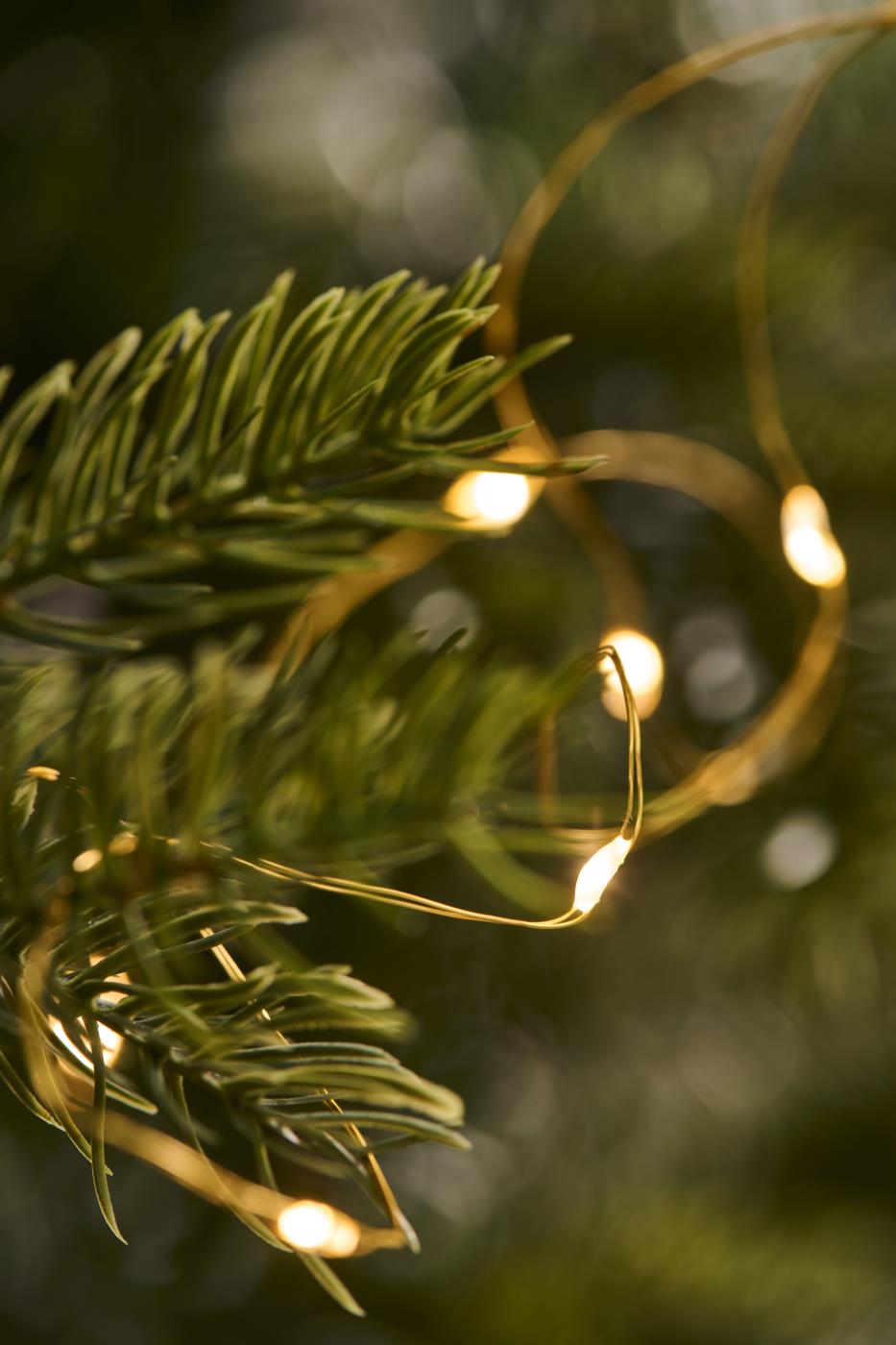 Catena luminosa con 40 LED 4,20 m