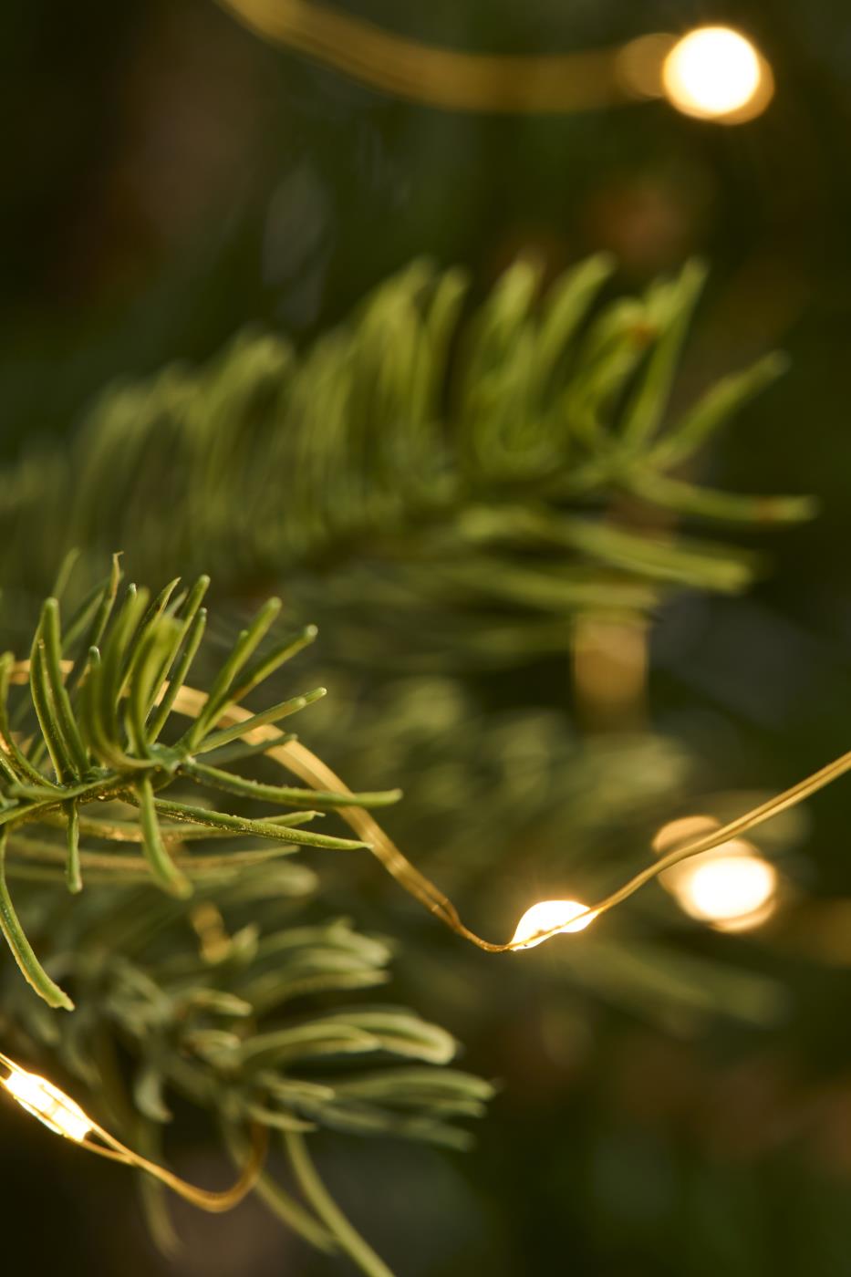 Catena luminosa con 40 LED 4,20 m