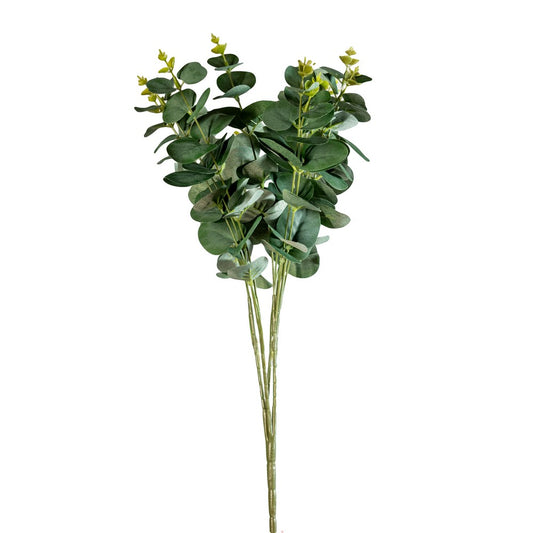 Eucalipto h 47 cm